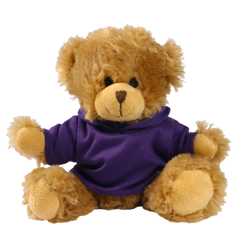 20cm Charles Jointed bear with printed Purple Hoody