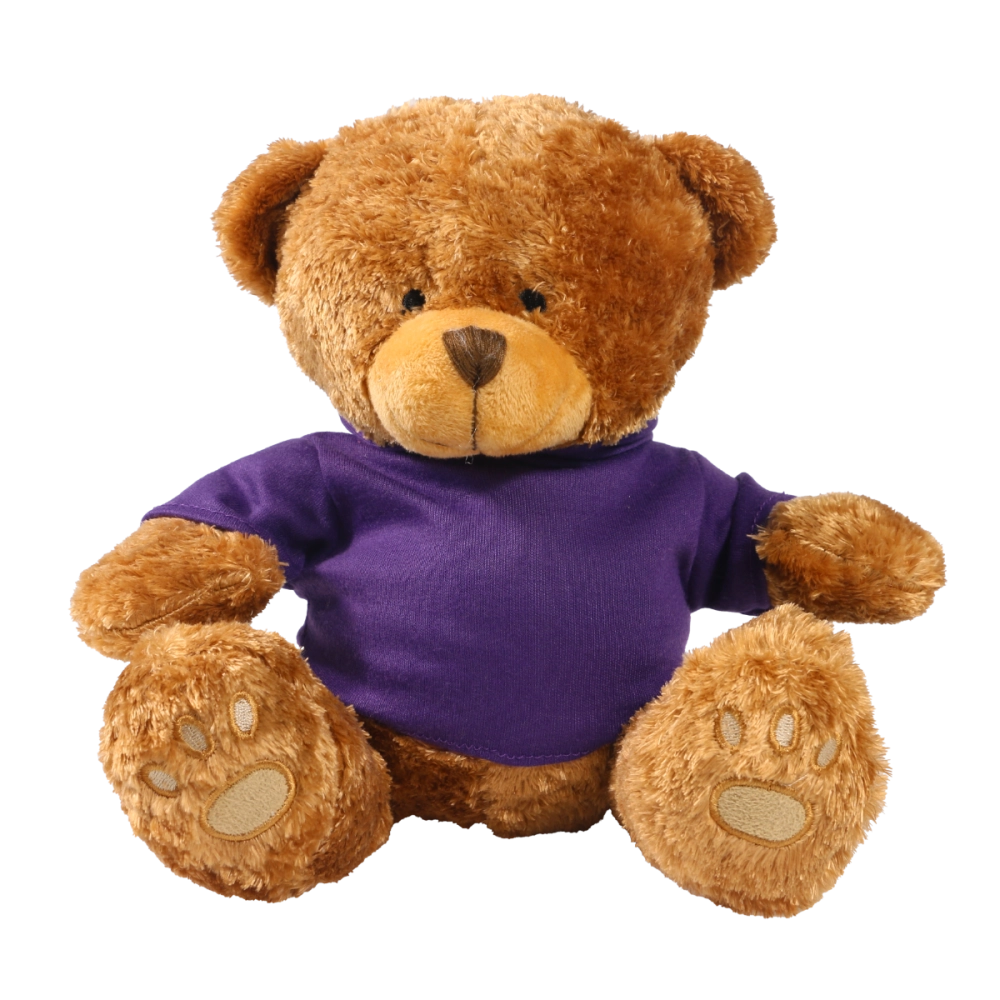Brown 22cm Edward bear with printed Purple Hoody