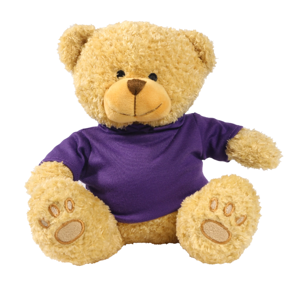 Golden 22cm Edward bear with printed Purple Hoody