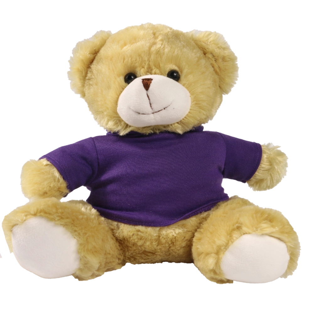 25cm Elizabeth bear with printed Purple Hoody