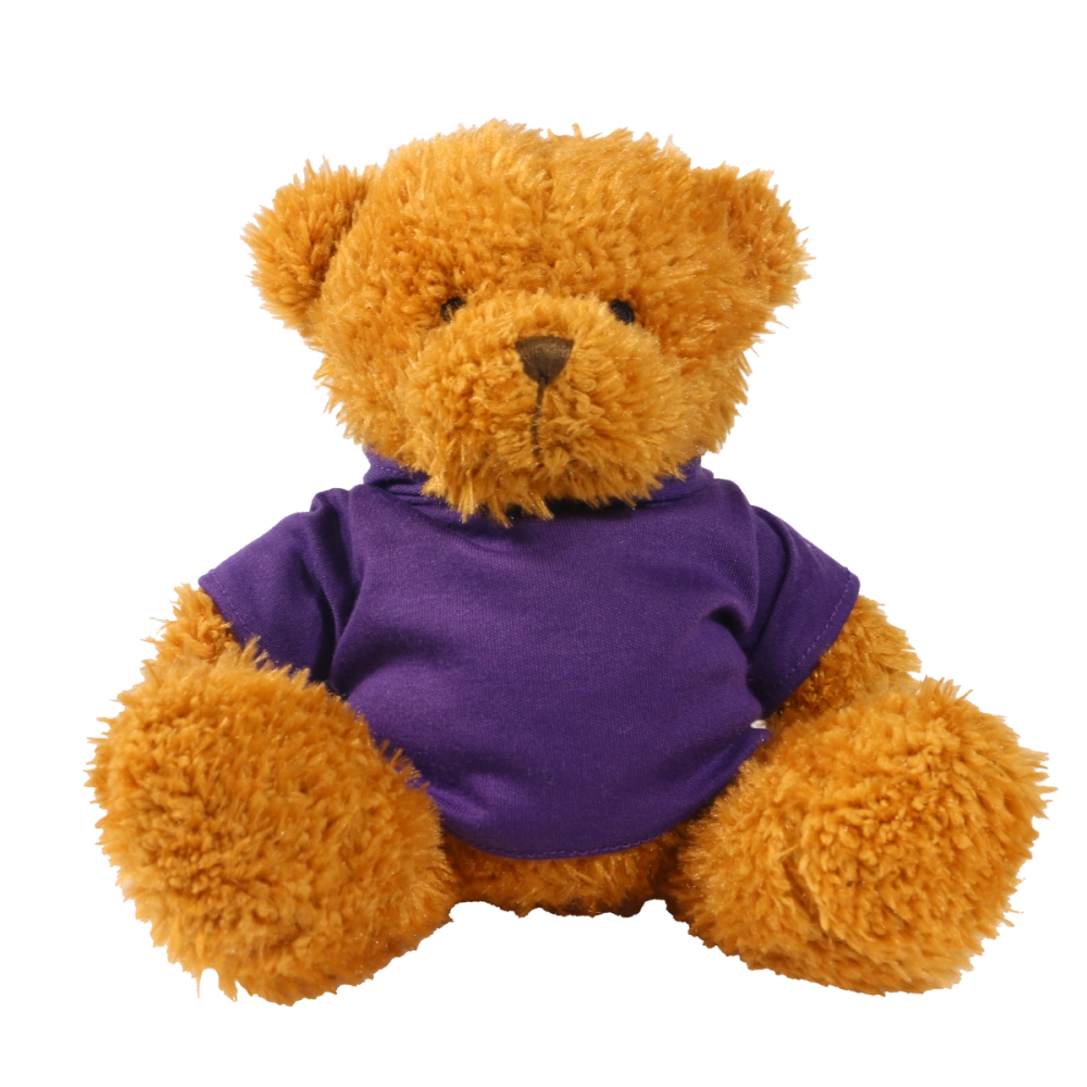 Golden 18cm James bear with printed Purple Hoody