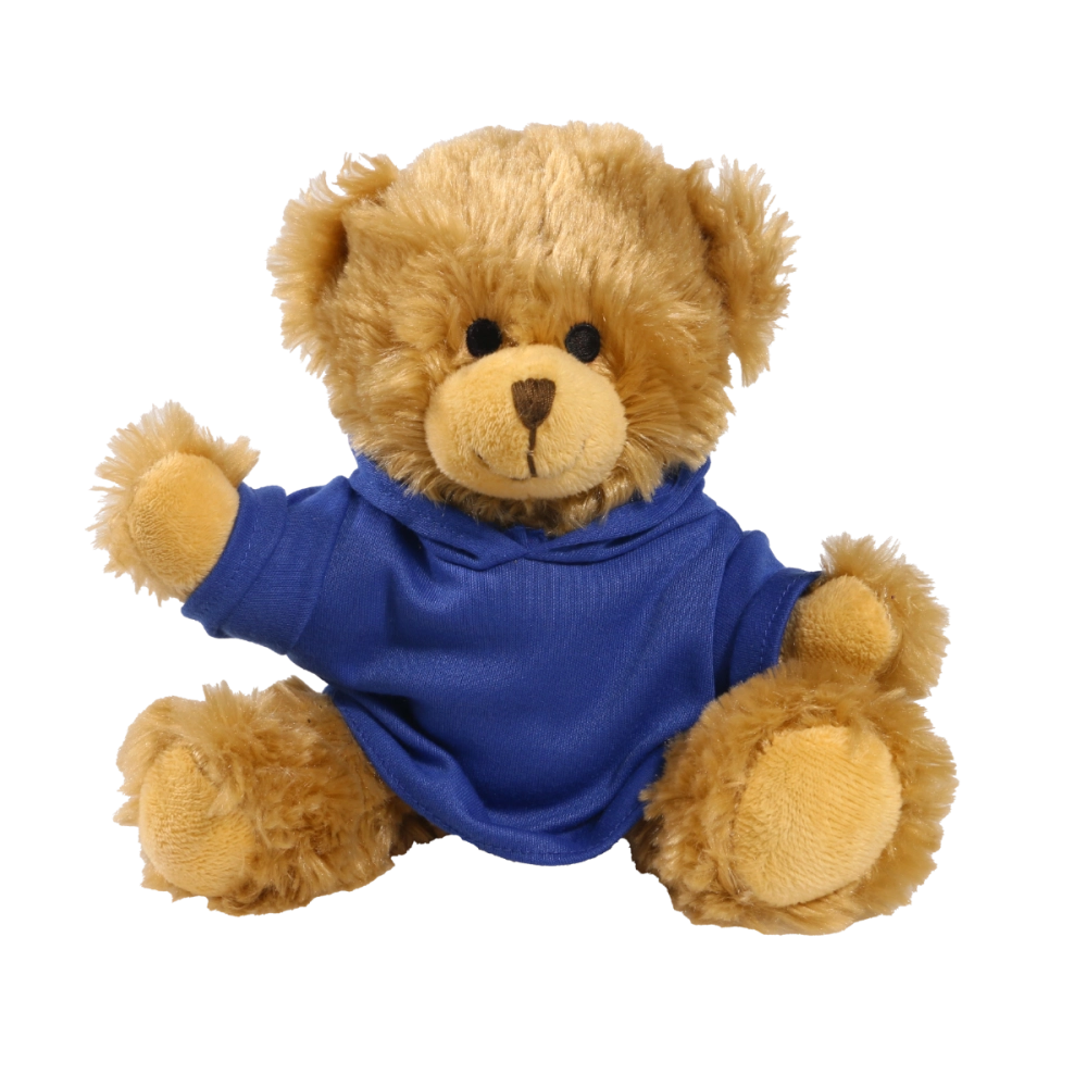 20cm Charles Jointed bear with printed Royal Blue Hoody
