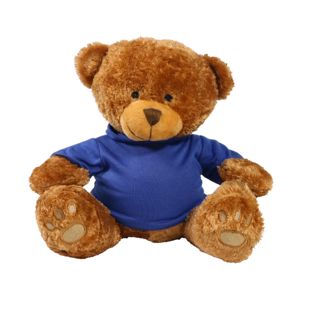 Brown 22cm Edward bear with printed Royal Blue Hoody