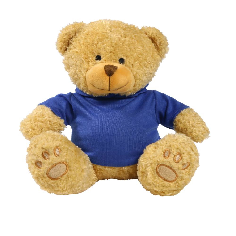 Golden 22cm Edward bear with printed Royal Blue Hoody