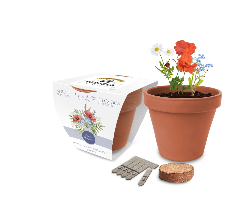 Essentials Clay Pot Seed Gardens