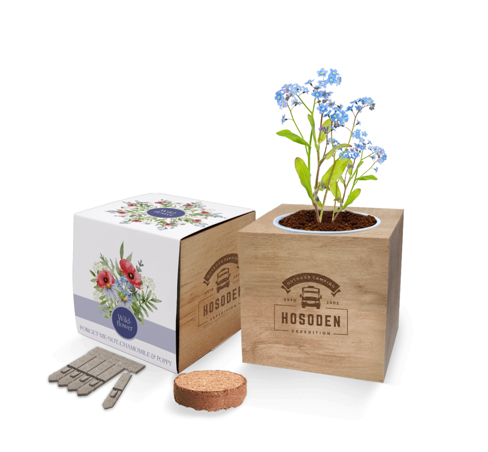 Essentials Desktop Seed Cube Gardens 