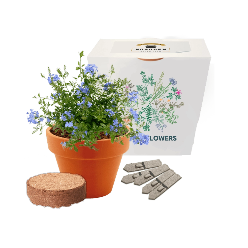 Express Clay Pot Seed Gardens