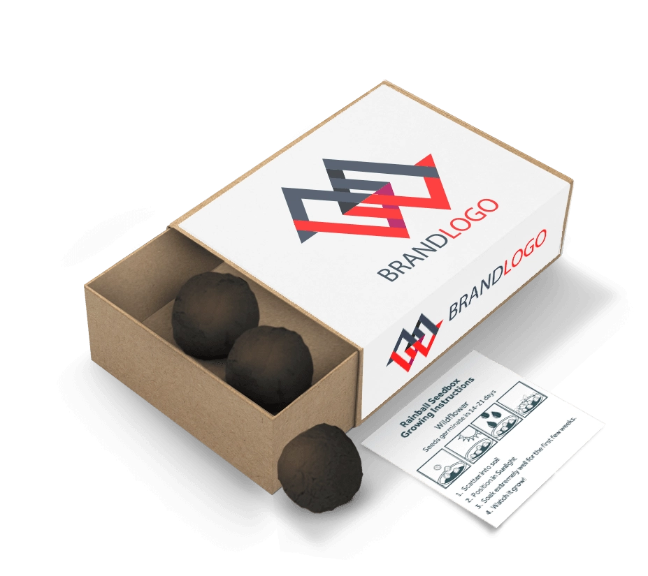 Seed Ball Matchboxes