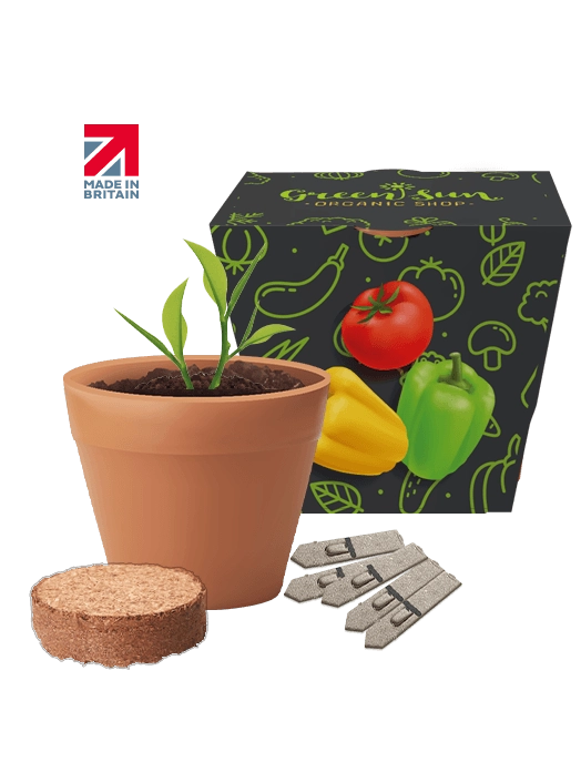 Recycled Pot Seed Gardens