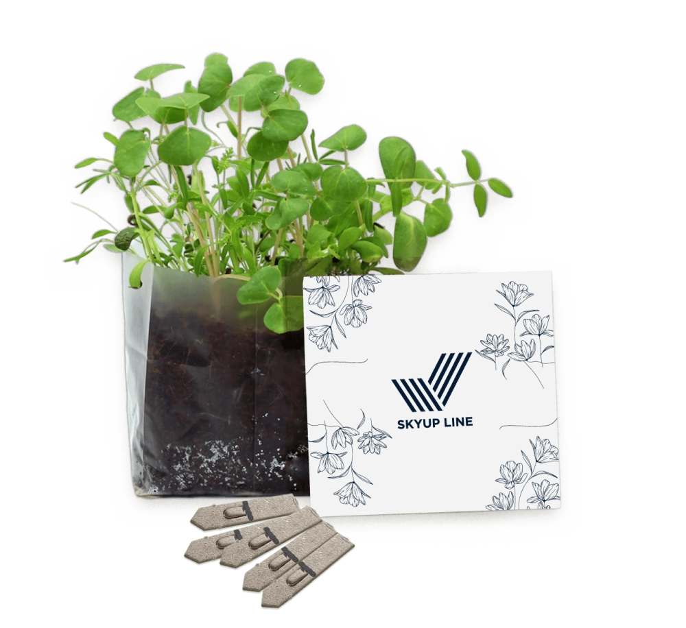 Letterbox Seed Gardens