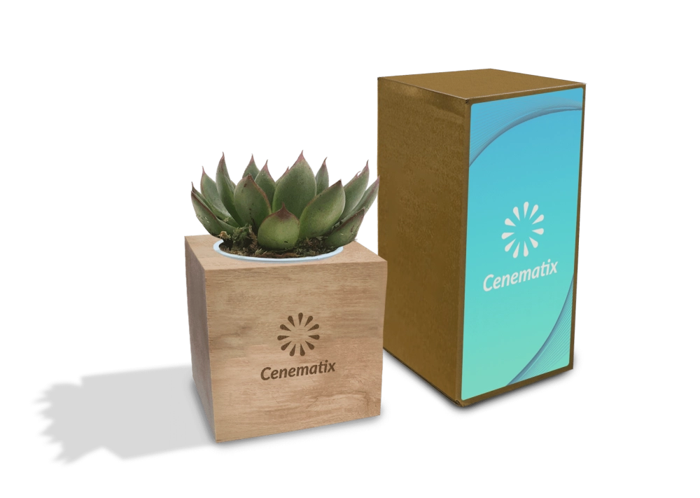 Wooden Succulent 