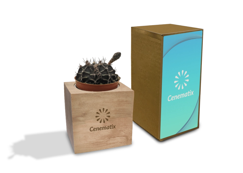 Wooden Cacti 