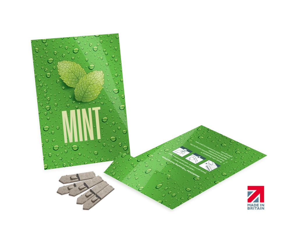 Medium Seed Packet Envelopes - Gloss
