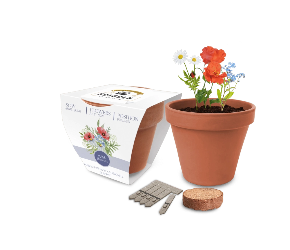 Super Express Essentials Clay Pot Seed Gardens