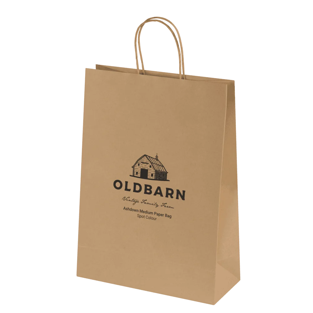 Bags - Ashdown Medium Paper Gift Bag with Twisted Handles - Kraft - 150GSM