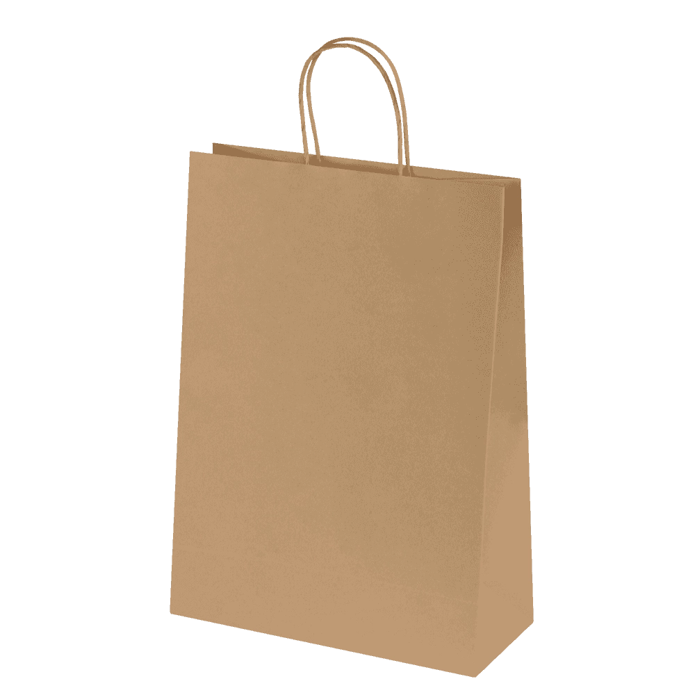 Bags - Ashdown Medium Paper Gift Bag with Twisted Handles - Kraft - 150GSM