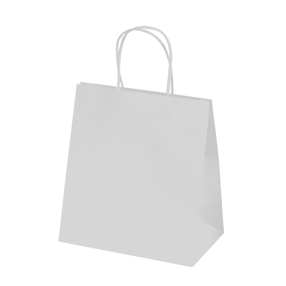Bags - Ashdown Small Paper Gift Bag with Twisted Handles