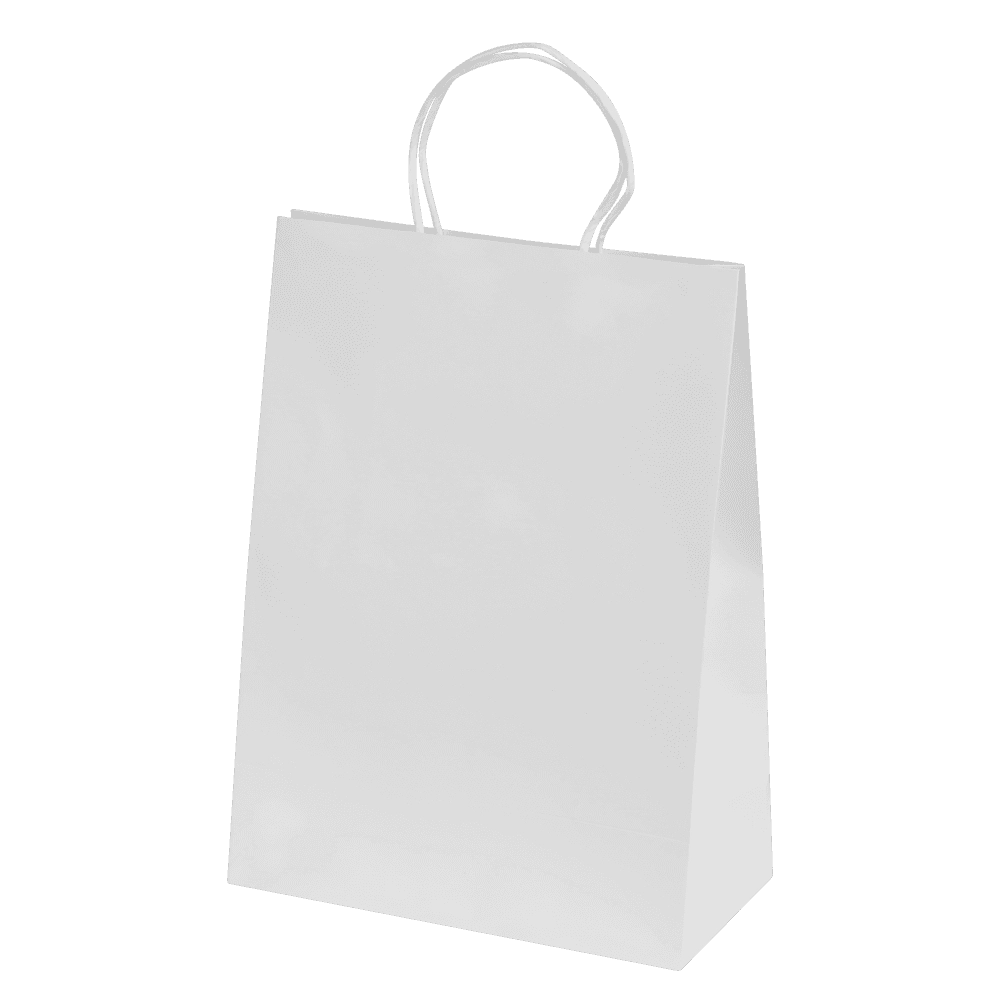Bags - Ashdown Medium Paper Gift Bag with Twisted Handles
