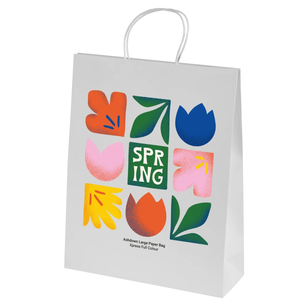 Bags - Ashdown Large Paper Gift Bag with Twisted Handles 