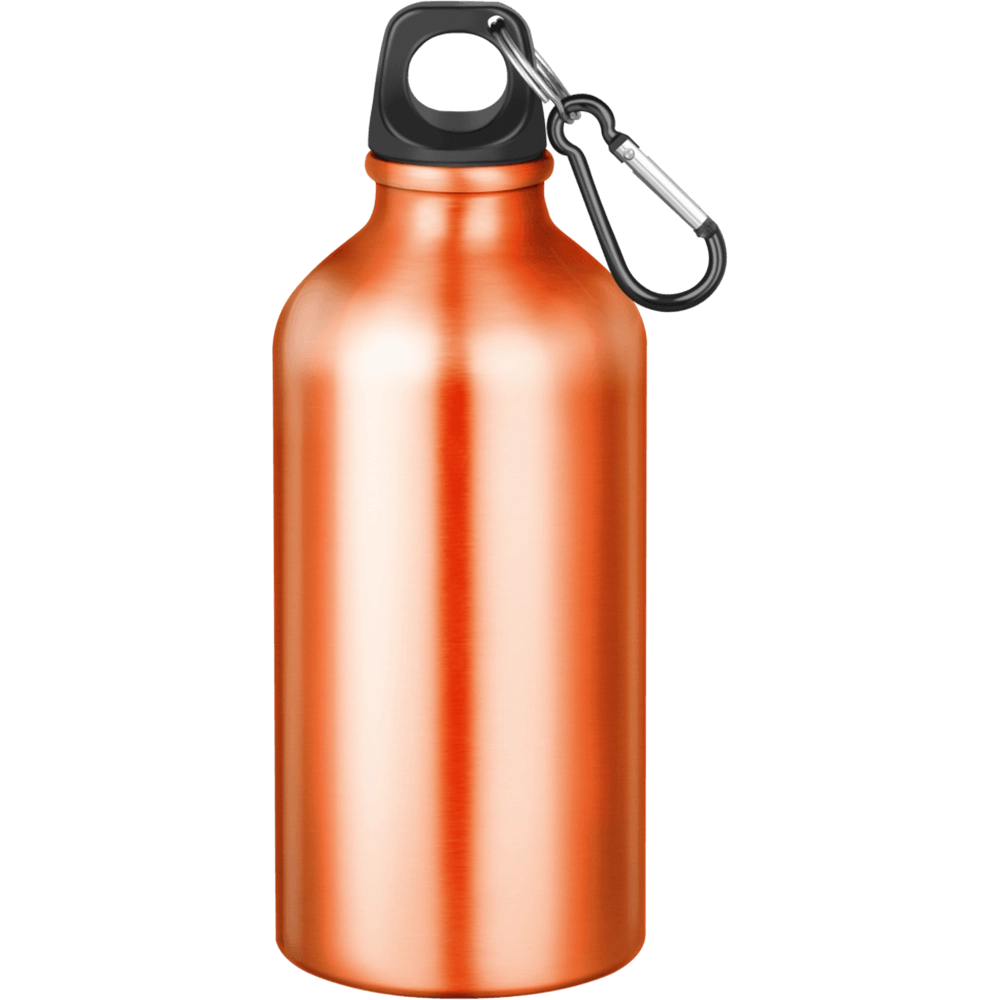 Action Aluminium Water Bottle with Carabiner Clip - 550ml