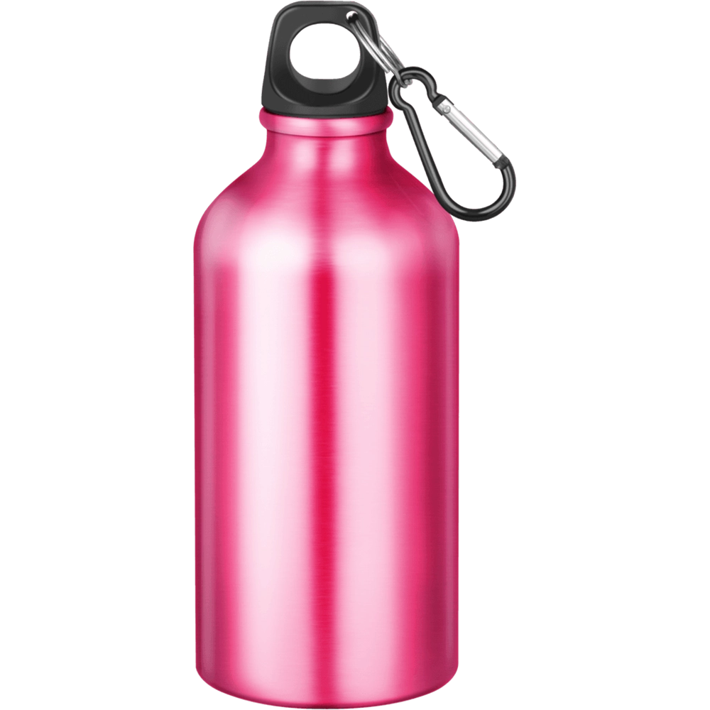 Action Aluminium Water Bottle with Carabiner Clip - 550ml