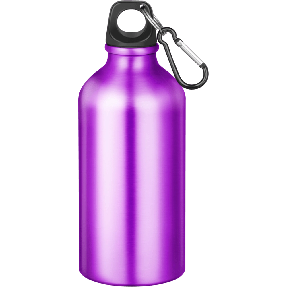 Action Aluminium Water Bottle with Carabiner Clip - 550ml