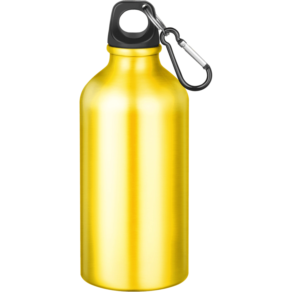Action Aluminium Water Bottle with Carabiner Clip - 550ml