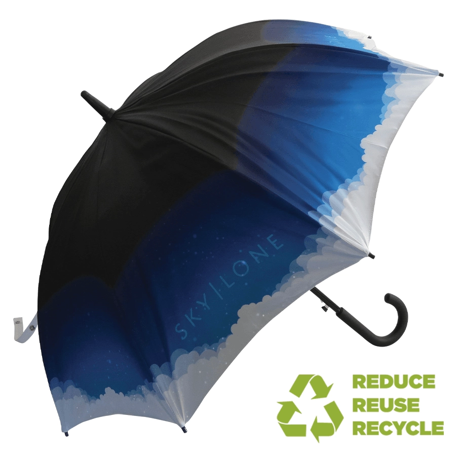 Executive Walker Eco Double Canopy