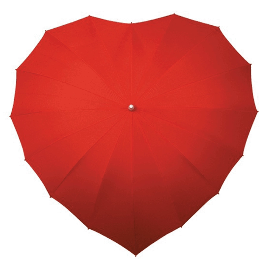 Heart Shaped umbrella
