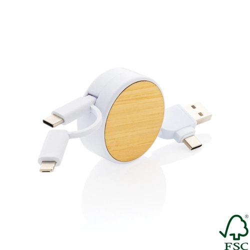 RCS recycled plastic Ontario 4-in-1 retractable cable