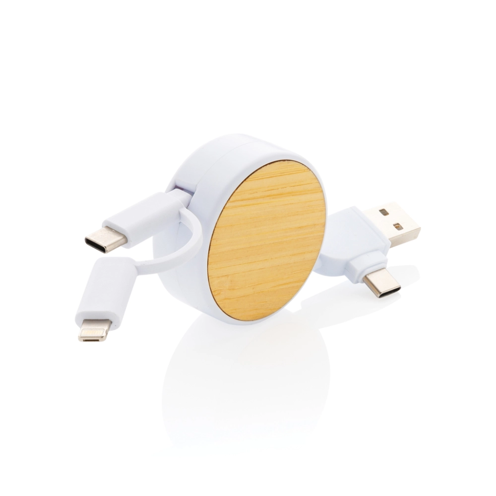 RCS recycled plastic Ontario 4-in-1 retractable cable
